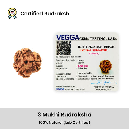3 Mukhi Rudraksha Bead – Agni Dev Spiritual Bead