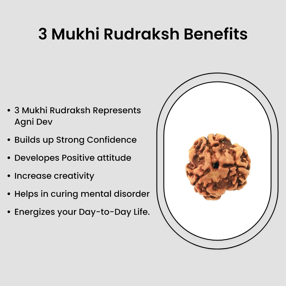 3 Mukhi Rudraksha Bead – Agni Dev Spiritual Bead