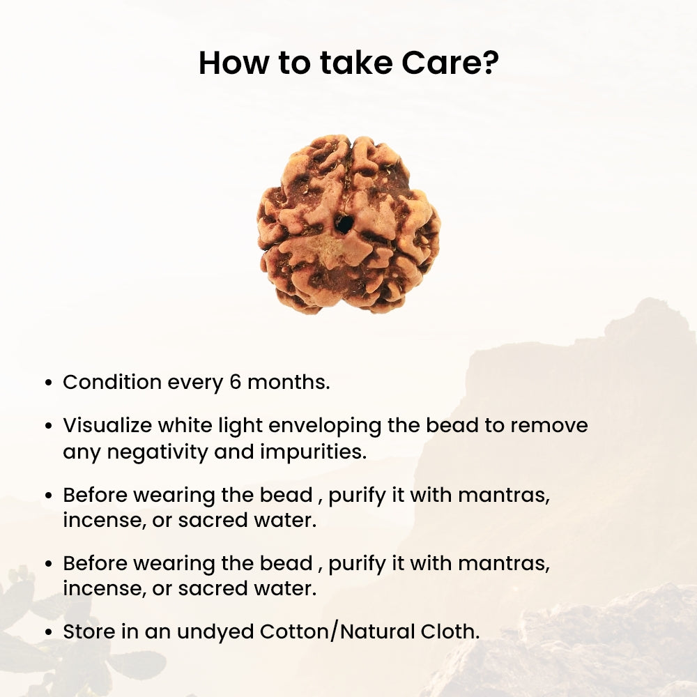 3 Mukhi Rudraksha – Agni Dev Karma Cleansing Bead | BR Emporium | Om Namah Shivaya