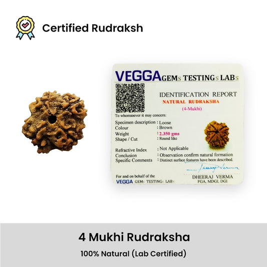 4 Mukhi Rudraksha – Lord Brahma Knowledge Bead | BR Emporium | Shiva’s Blessing