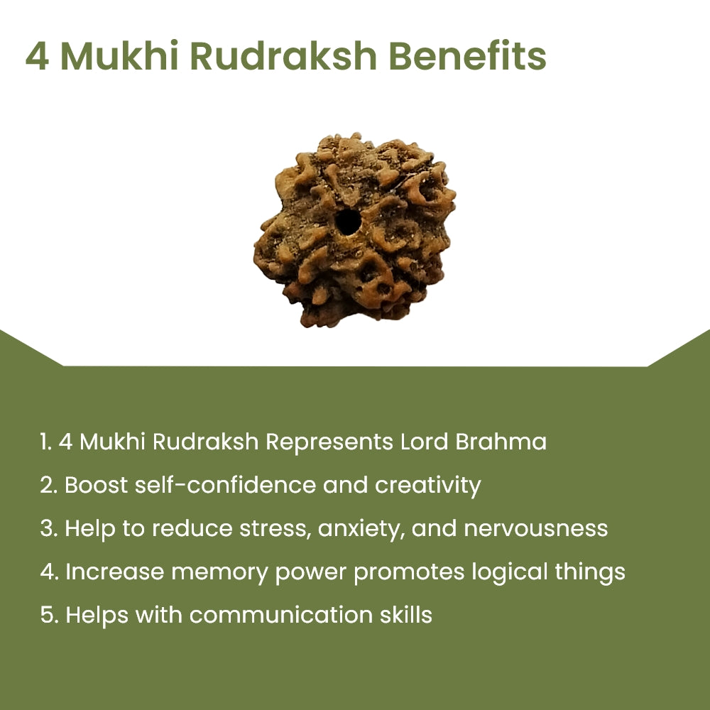 4 Mukhi Rudraksha – Lord Brahma Knowledge Bead | BR Emporium | Shiva’s Blessing
