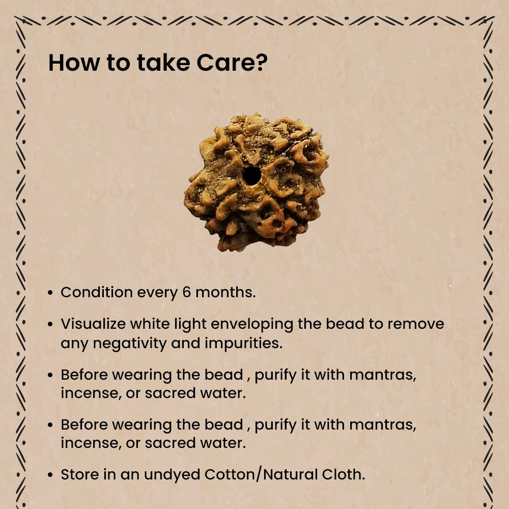4 Mukhi Rudraksha – Lord Brahma Knowledge Bead | BR Emporium | Shiva’s Blessing