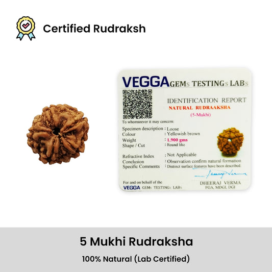 5 Mukhi Rudraksha – Kalagni Rudra Wellness Bead | BR Emporium | Spiritual Energy