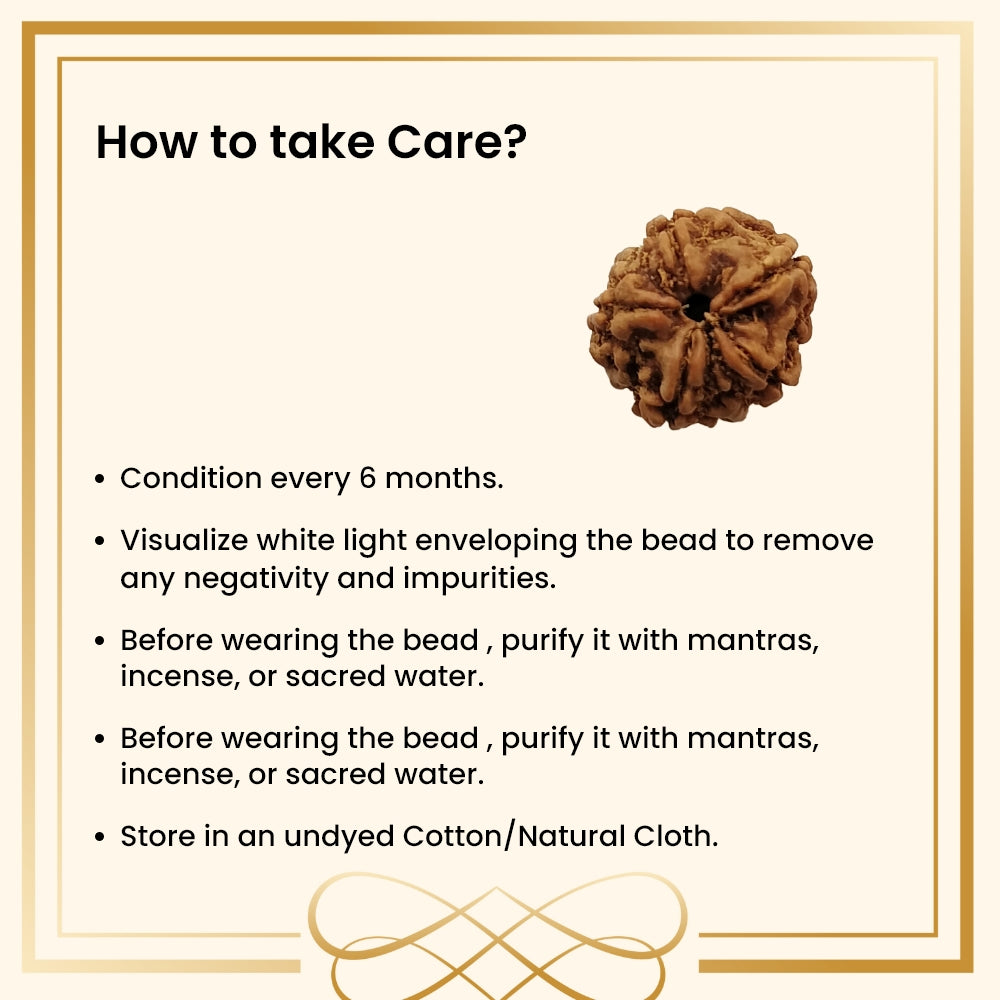 5 Mukhi Rudraksha – Kalagni Rudra Wellness Bead | BR Emporium | Spiritual Energy