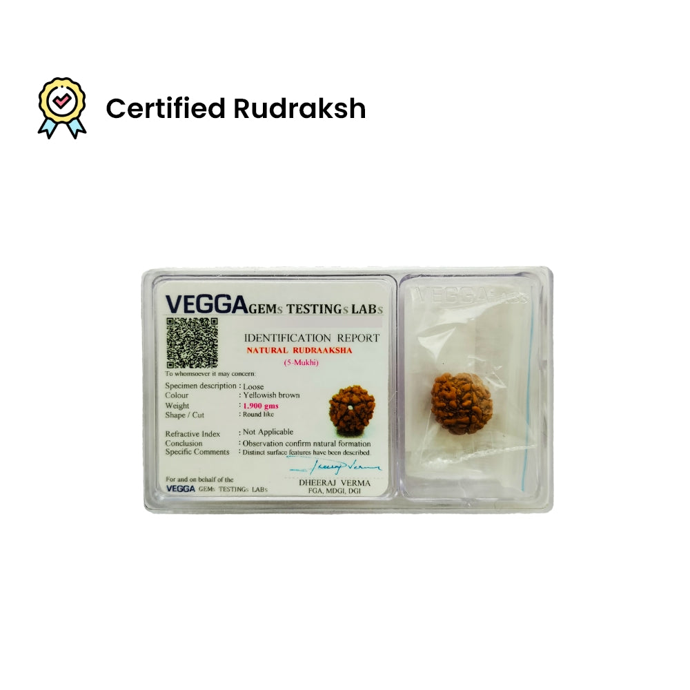 5 Mukhi Rudraksha – Kalagni Rudra Wellness Bead | BR Emporium | Spiritual Energy