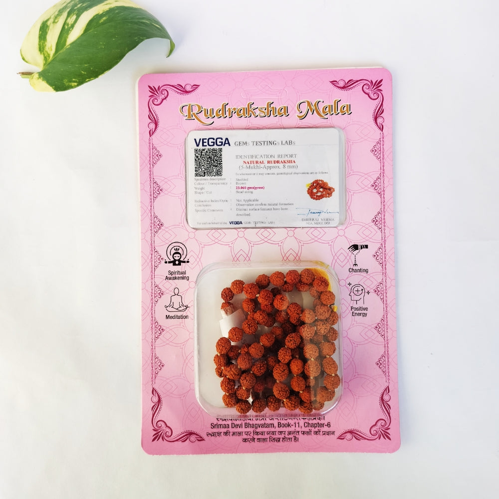 5 Mukhi Rudraksha Mala (108 Beads) - Lab Certified Japa Mala | BR Emporium