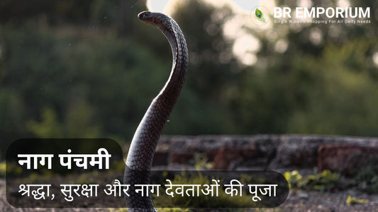 नाग पंचमी: श्रद्धा, सुरक्षा और नाग देवताओं की पूजा, BR Emporium, Naag Panchmi