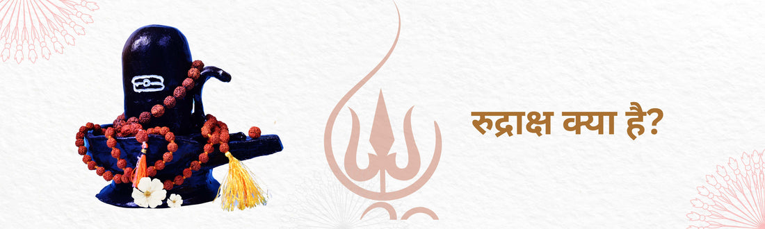 रुद्राक्ष के 21 प्रकार, उनके देवता, ग्रह, मंत्र और फायदे – पूरी जानकारी एक जगह! | BR Emporium