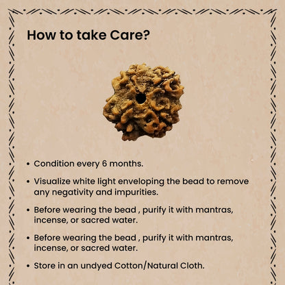 4 Mukhi Rudraksha – Lord Brahma Knowledge Bead | BR Emporium | Shiva’s Blessing