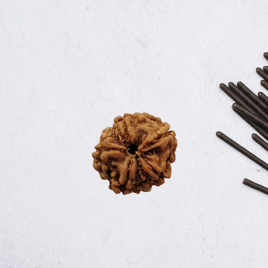 5 Mukhi Rudraksha – Kalagni Rudra Wellness Bead | BR Emporium | Spiritual Energy
